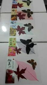 红叶、蝴蝶、叶脉标本（塑封）