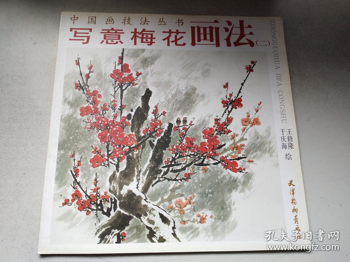 中国画技法丛书:写意梅花画法(二)