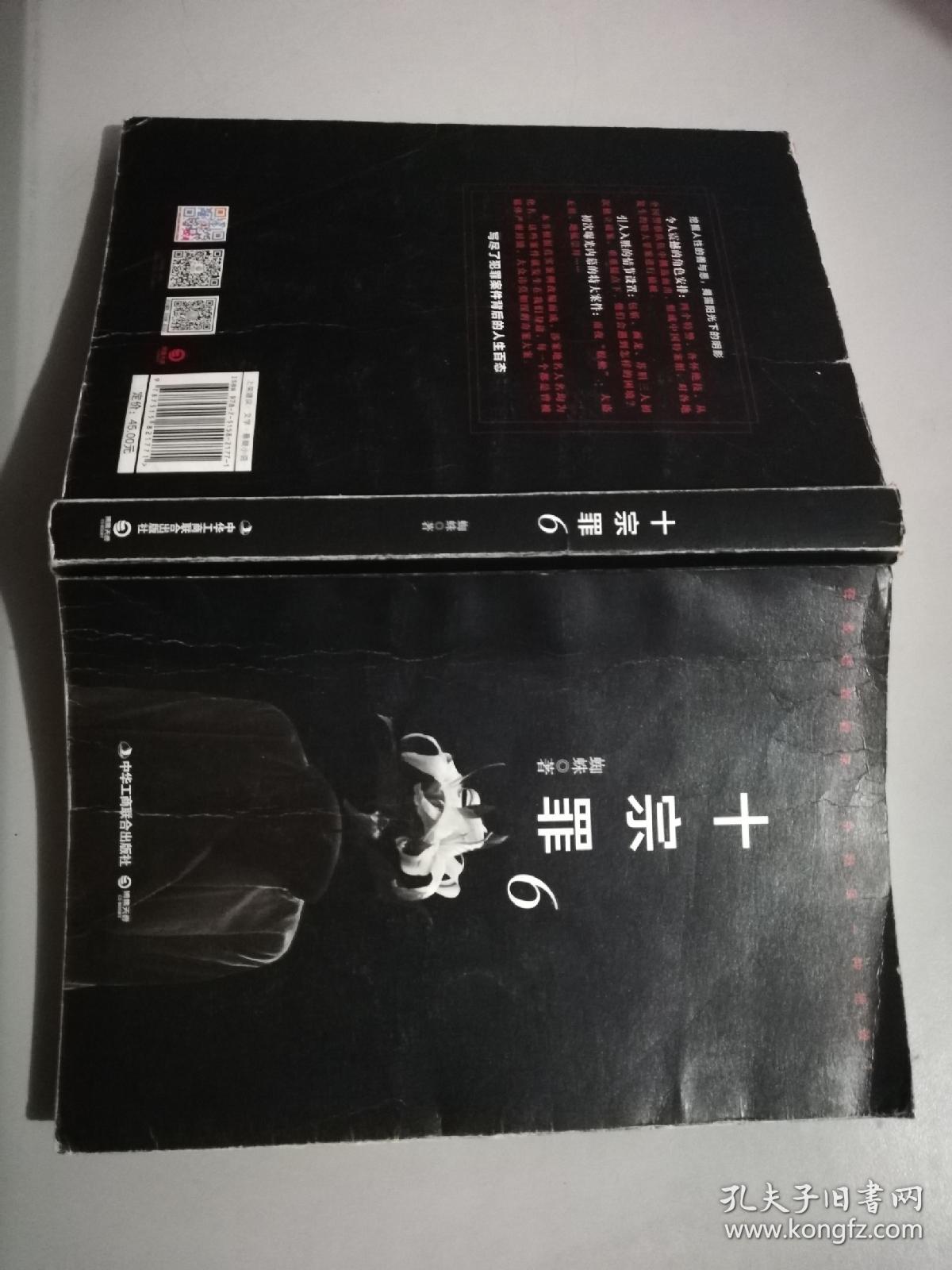 十宗罪6:本书根据真实案例改编而成.