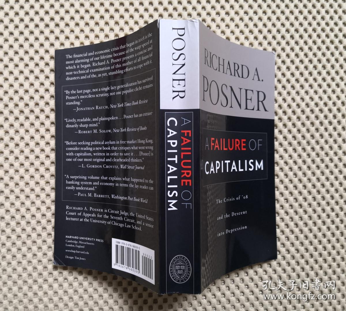 a failure of capitalism: the crisis of 08 and the descent into