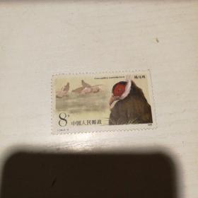 邮票：T.134（2-1）褐马鸡