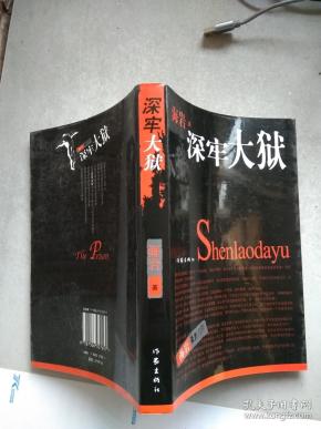 深牢大狱:海岩最新力作