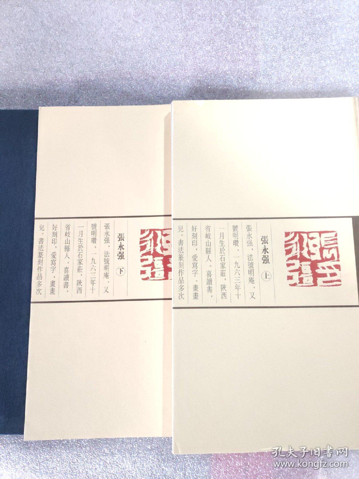 当代青年篆刻家精选集.张永强