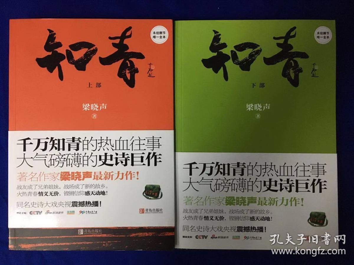 知青(上下册)_梁晓声_孔夫子旧书网