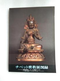 チベツト密教展図录 西藏密教展图录 唐卡等艺术画册