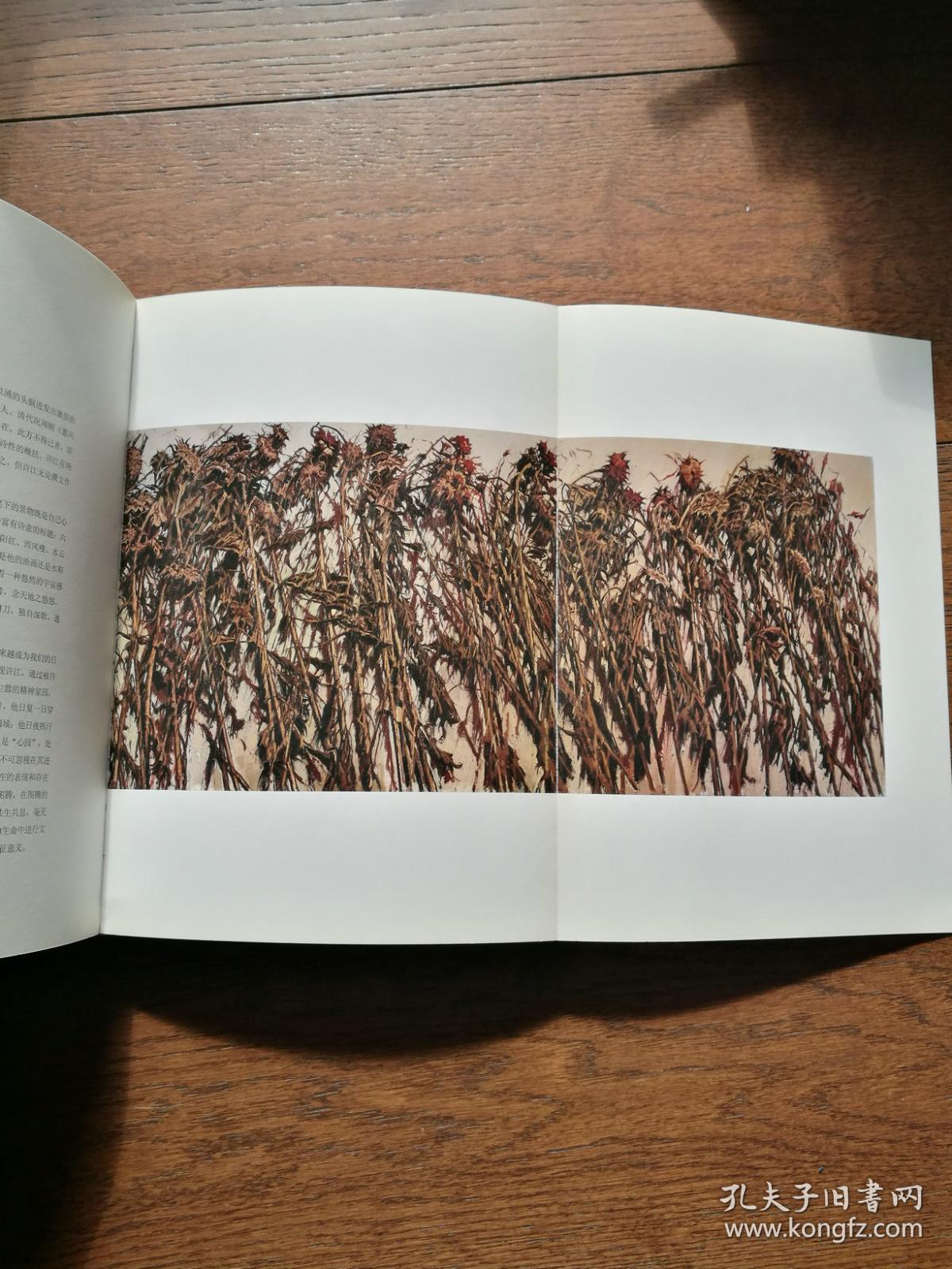 被拯救的葵园:许江新作