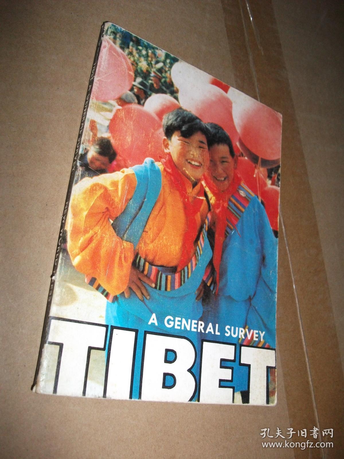 TIBET A GENERAL SURVEY NEW WORLD PRESS（西藏概览）_孔夫子旧书网