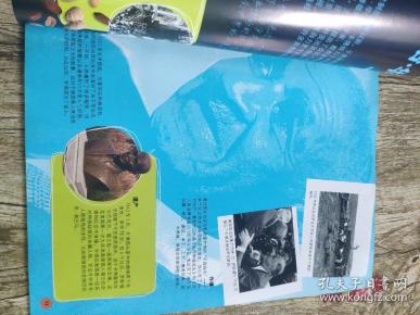 有趣的大脑潜力训练:提升创造力