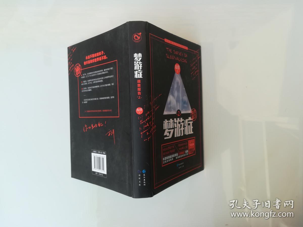 梦游症2:精神异常梦游症患者调查报告