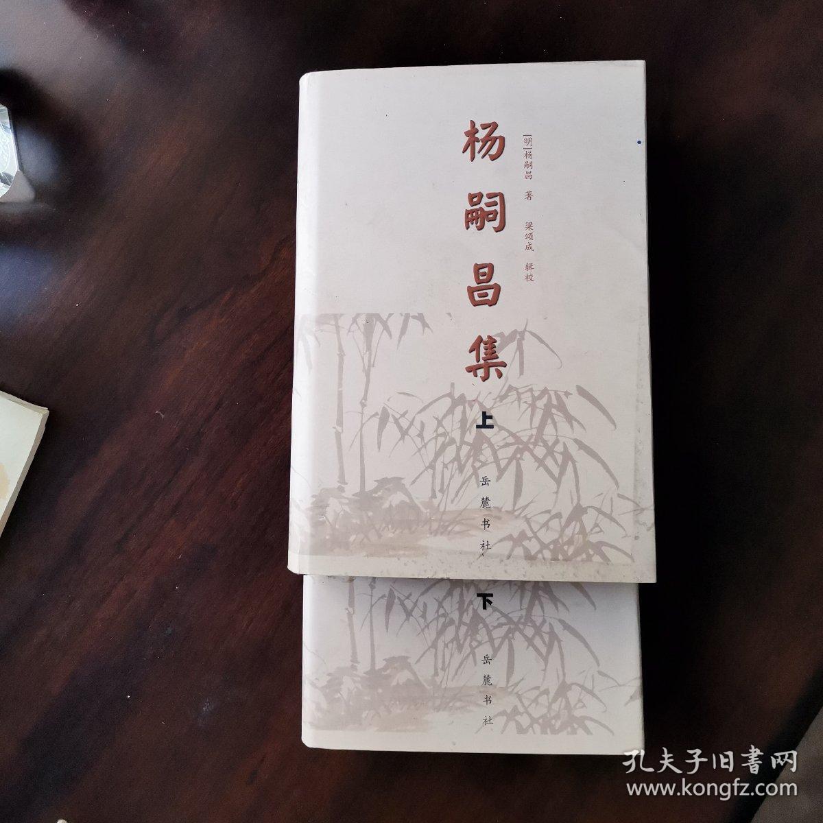 杨嗣昌集(上下)