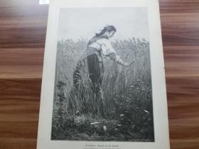 【百元包邮】1883年木刻版画《采摘矢车菊》（Kornblumen）尺寸约40.8*27.5厘米 （货号101249）