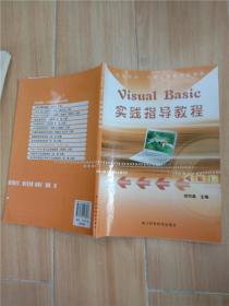 Visual Basic 实践指导教程