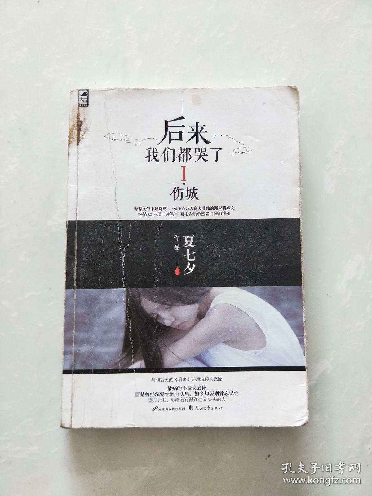 后来我们都哭了1:伤城.