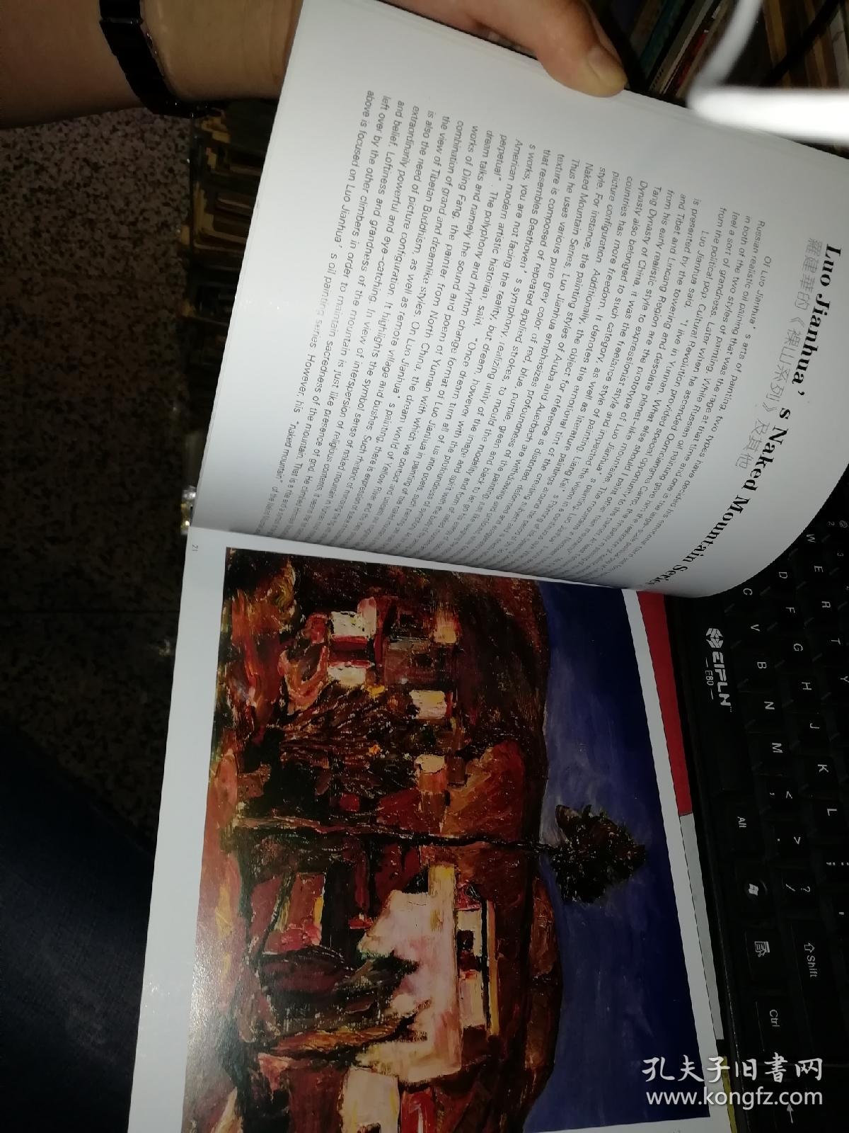 罗建华 画册 编入画家的大量油画作品【全铜版纸彩色精美印刷】 云南