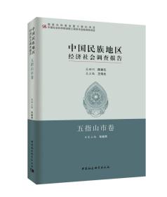 中国民族地区经济社会调查报告