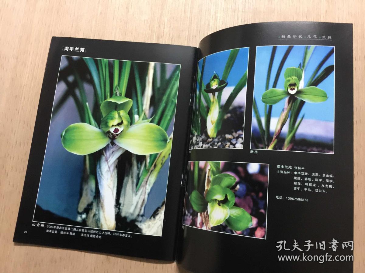 新昌新花名花兰苑_吴立方 主编_孔夫子旧书网