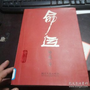 陆天明 著《命运》  湖南文艺出版社
