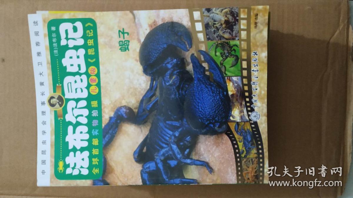 法布尔昆虫记--蝎子