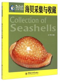 海贝采集与收藏