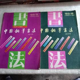 中国钢笔书法(1993/5、6)共2本合售