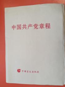 中国共产党章程(盲文版)