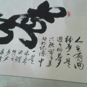 著名书法家 房昭明书法 美梦成真.