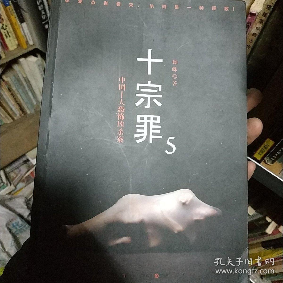 十宗罪5:中国十大凶杀案