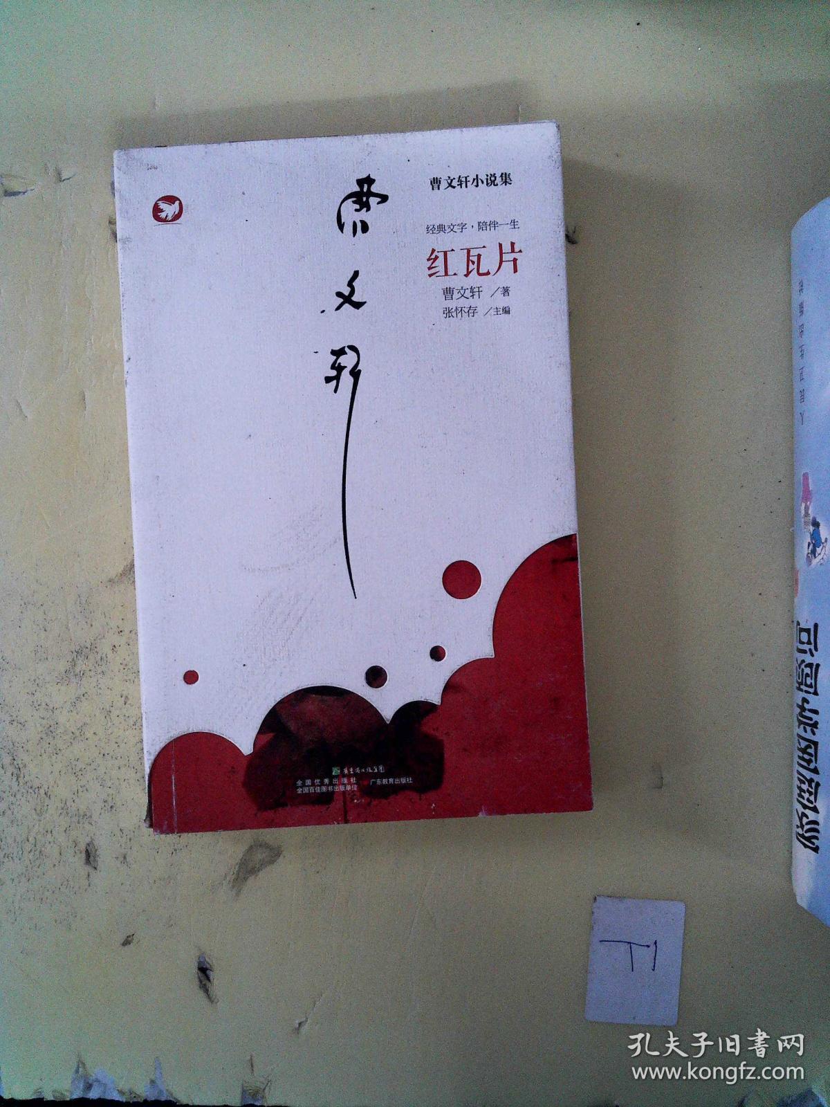 曹文轩新作·红瓦片