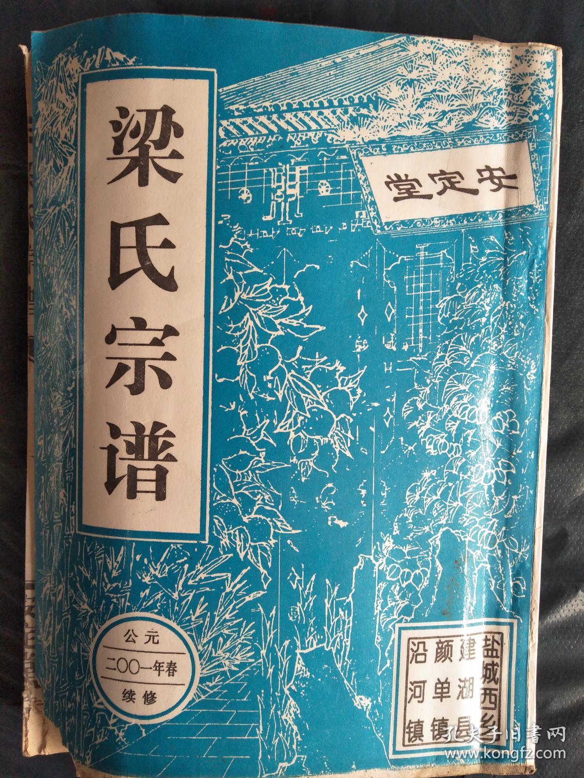 提供资料信息服务梁氏宗谱安定堂本颜单沿河仲芳公支16开196页2001年