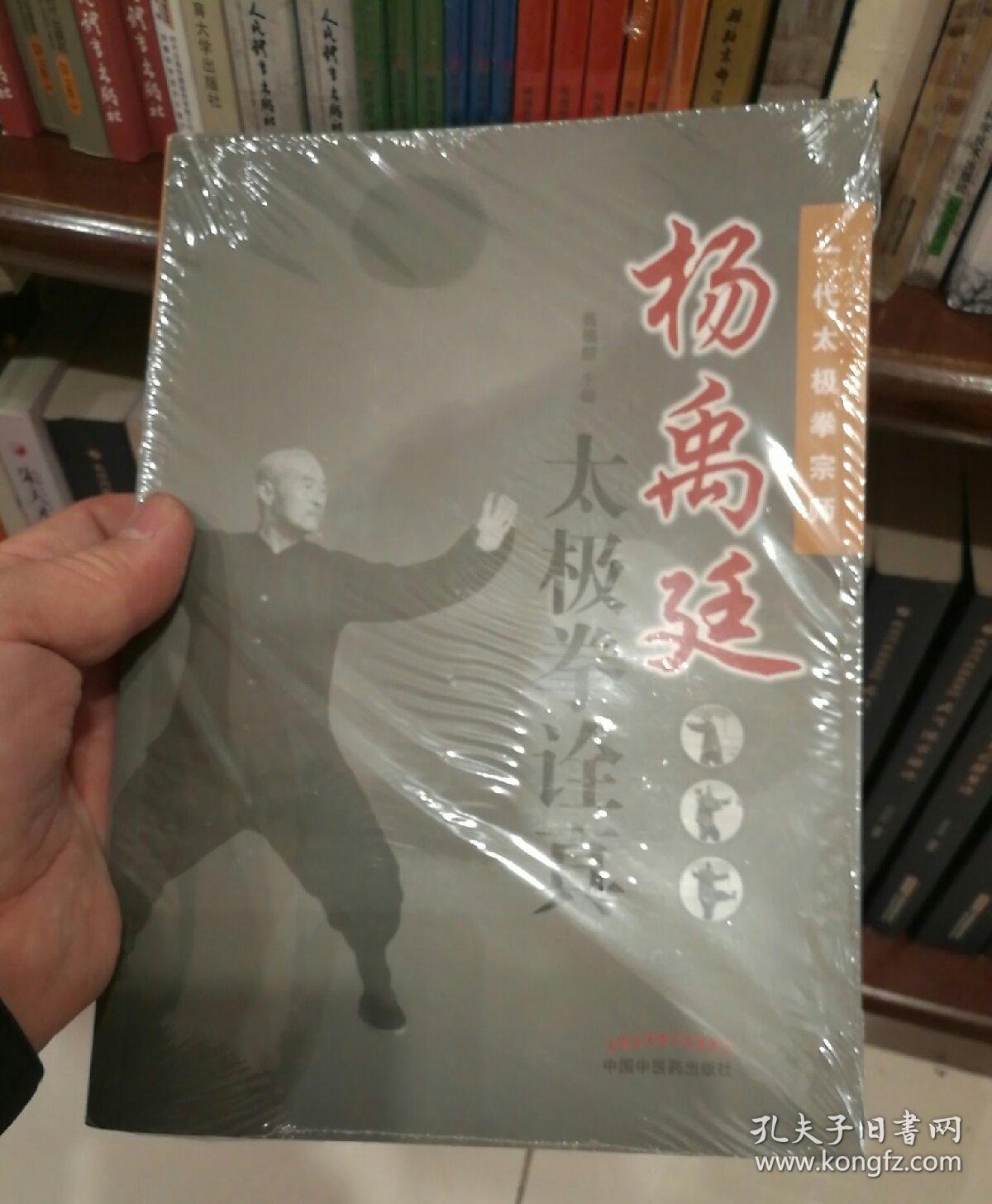 杨禹廷太极拳诠真