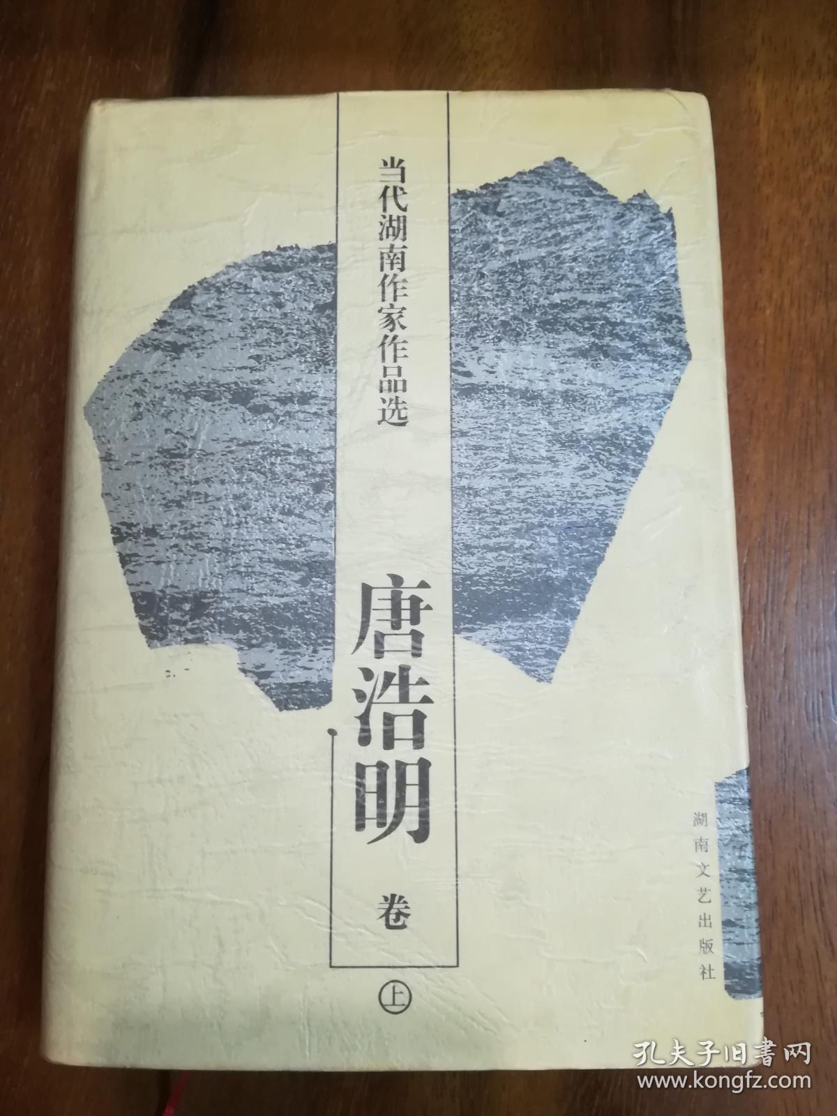 当代湖南作家作品选19本全集