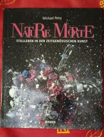 Nature Morte: Stillleben in Der Zeitgenössischen Kunst （德语）