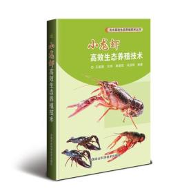 小龙虾高效生态养殖技术