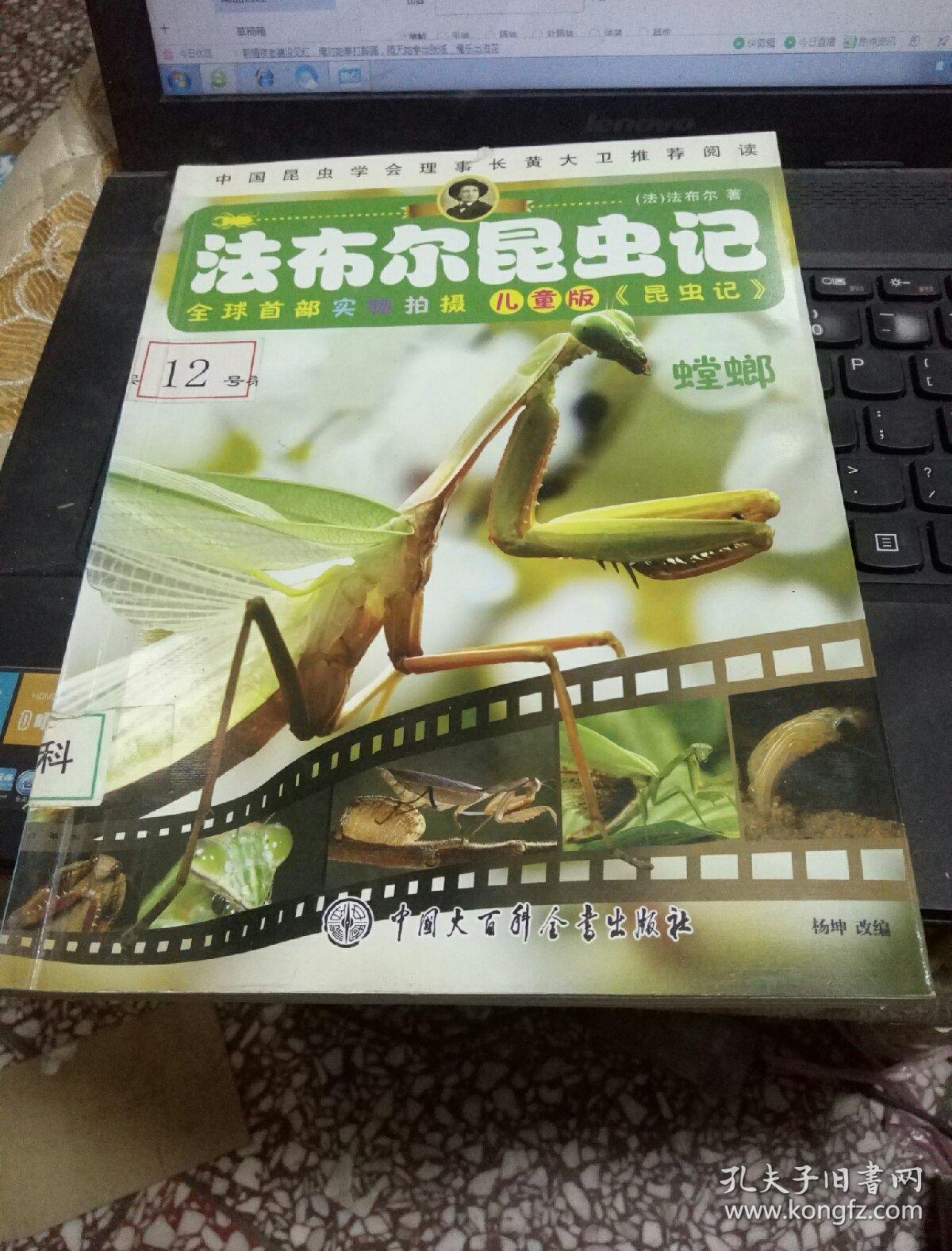 法布尔昆虫记:螳螂(儿童版)