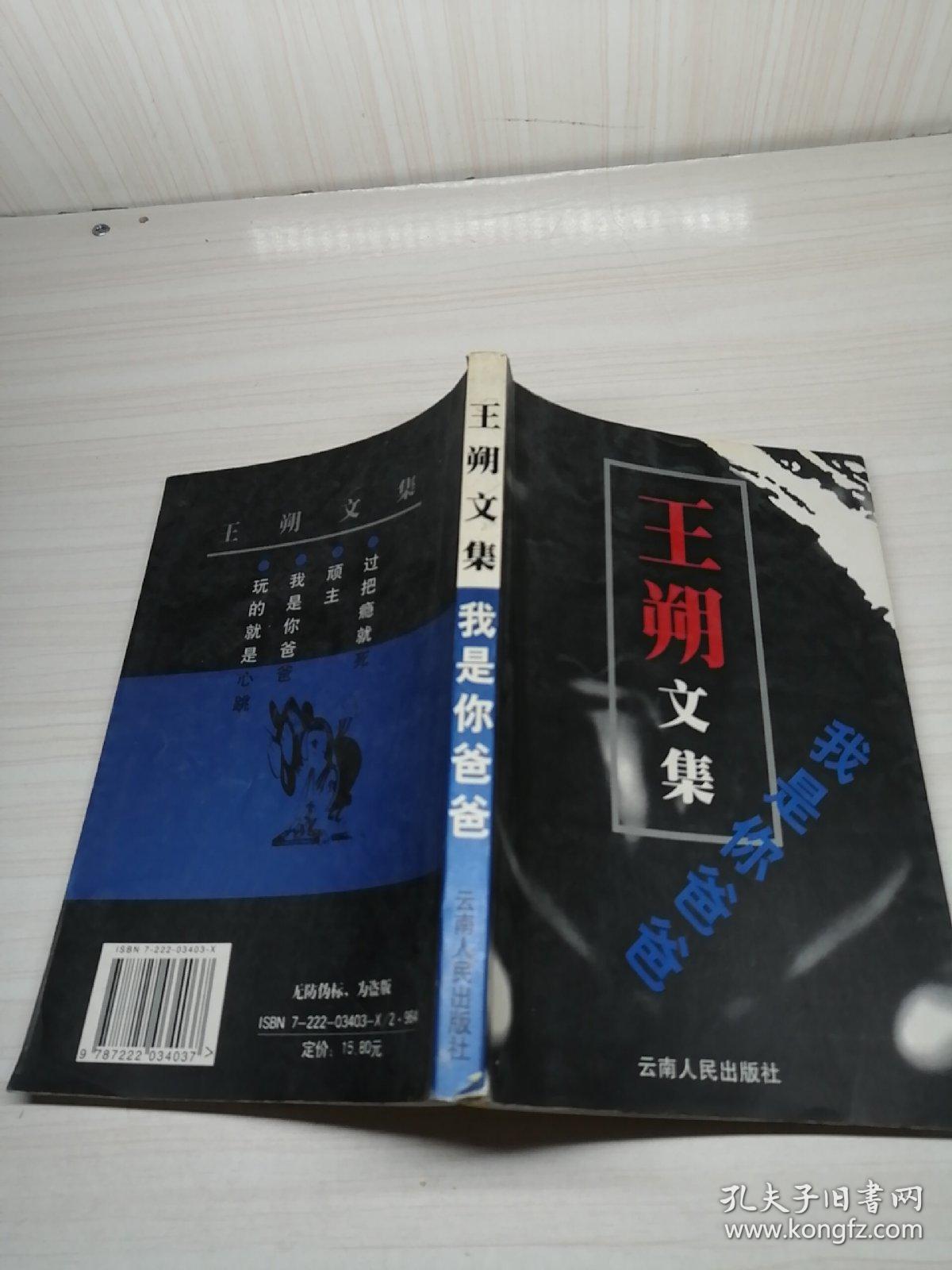 王朔文集 我是你爸爸