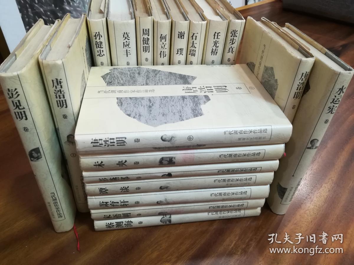当代湖南作家作品选19本全集