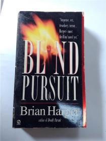 英文原版书籍:blind pursuit