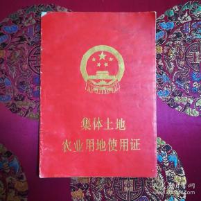 90年代,集体土地农业用地使用证