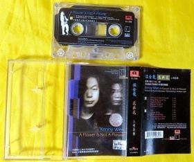 磁带              温金龙《花非花——二胡专辑》1996