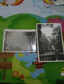 大幅黑白风景老照片两张合售！