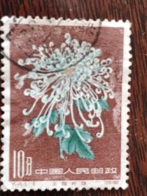 特44 菊花 （18-10）8分 信销邮票