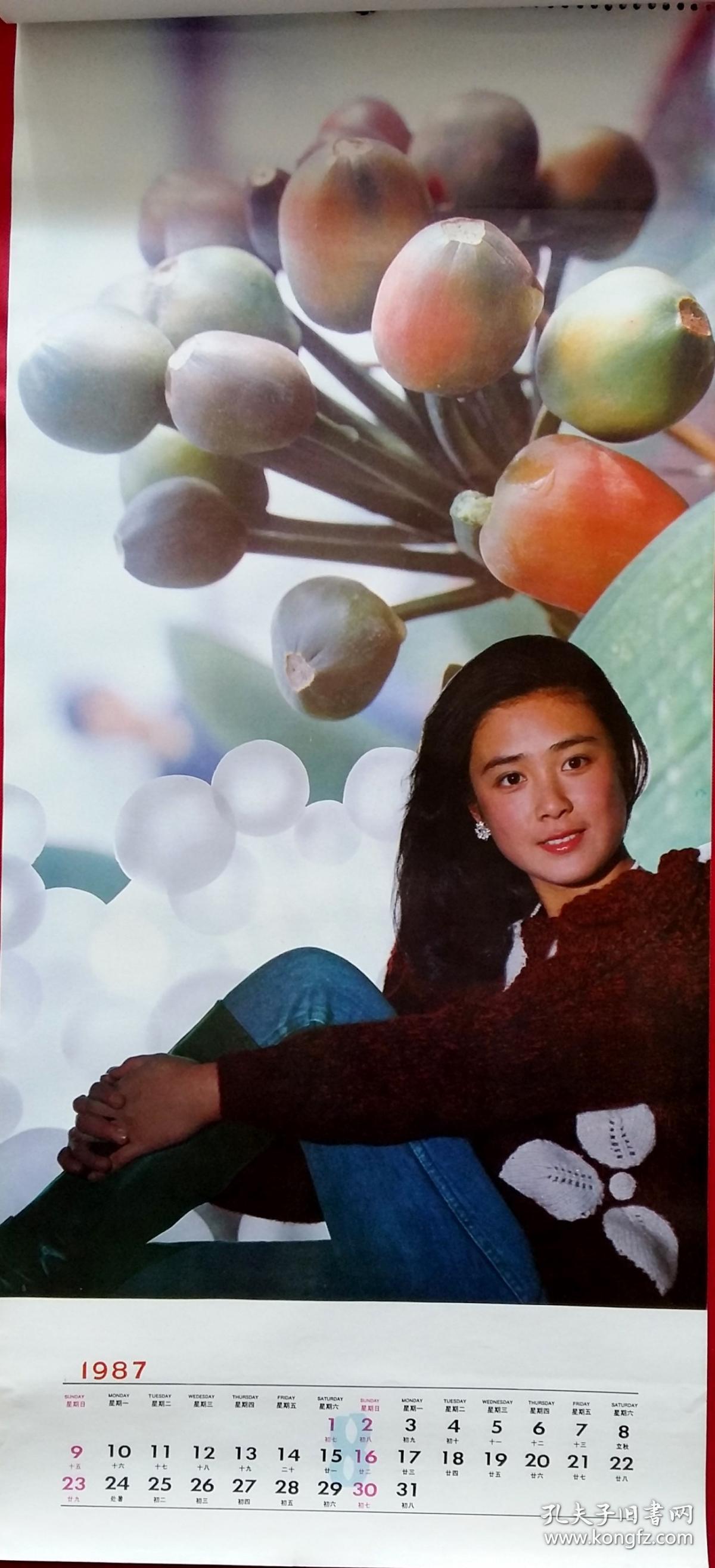上世纪挂历画1987年明星傅艺伟朱琳等全12张