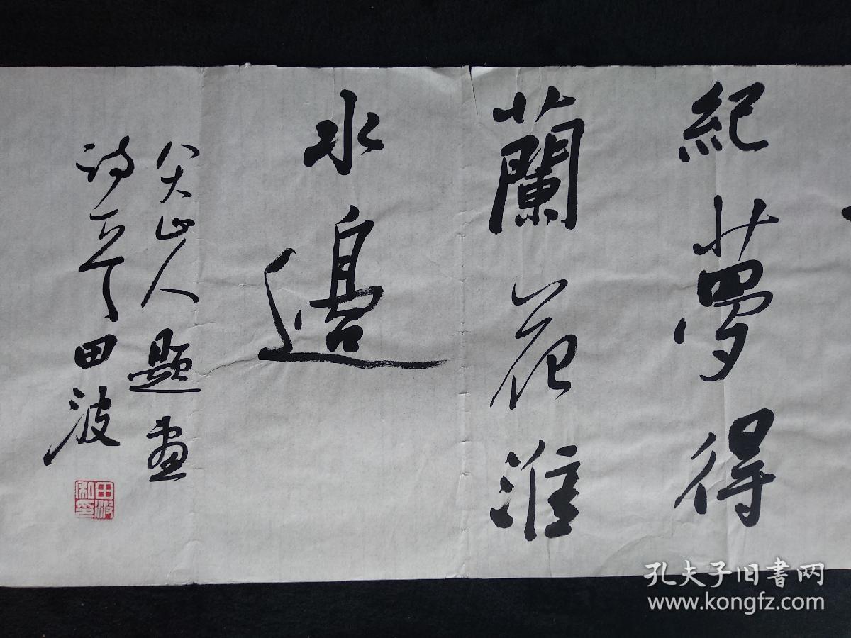 中国书法家协会会员田波书法《八大山人诗》