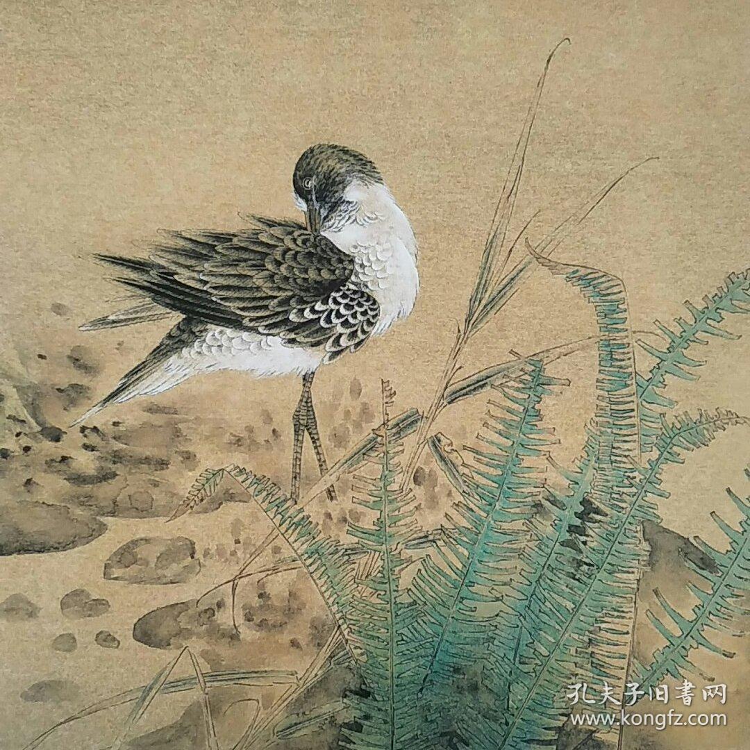 当代工笔画唯美新势力:郑雅风工笔花鸟画精品集