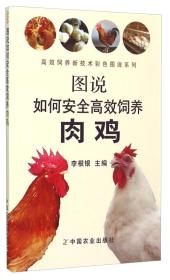 养鸡技术书籍 图说如何安全高效饲养肉鸡