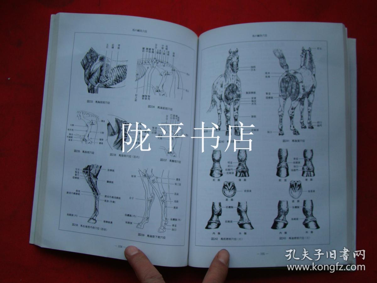 中国兽医针灸图谱日文版