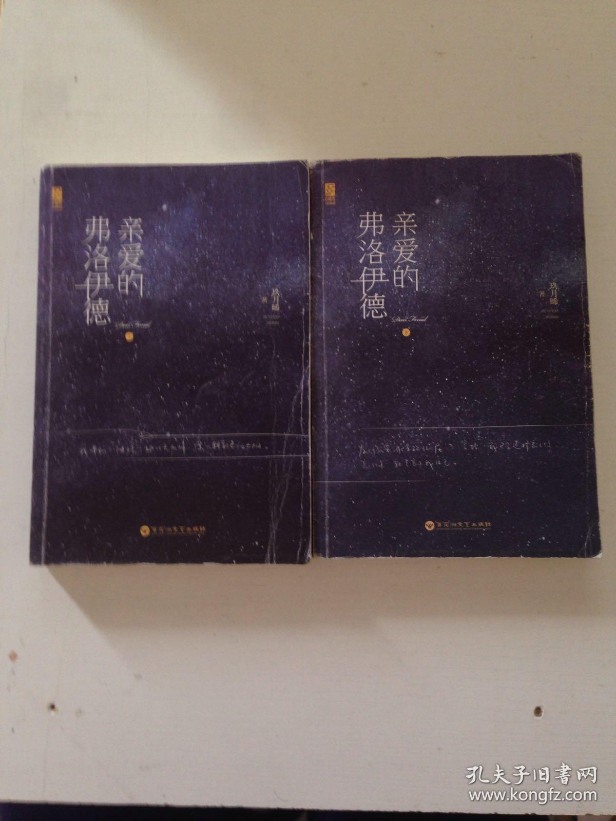 亲爱的弗洛伊德上下册