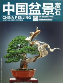 中国盆景赏石 2012—10