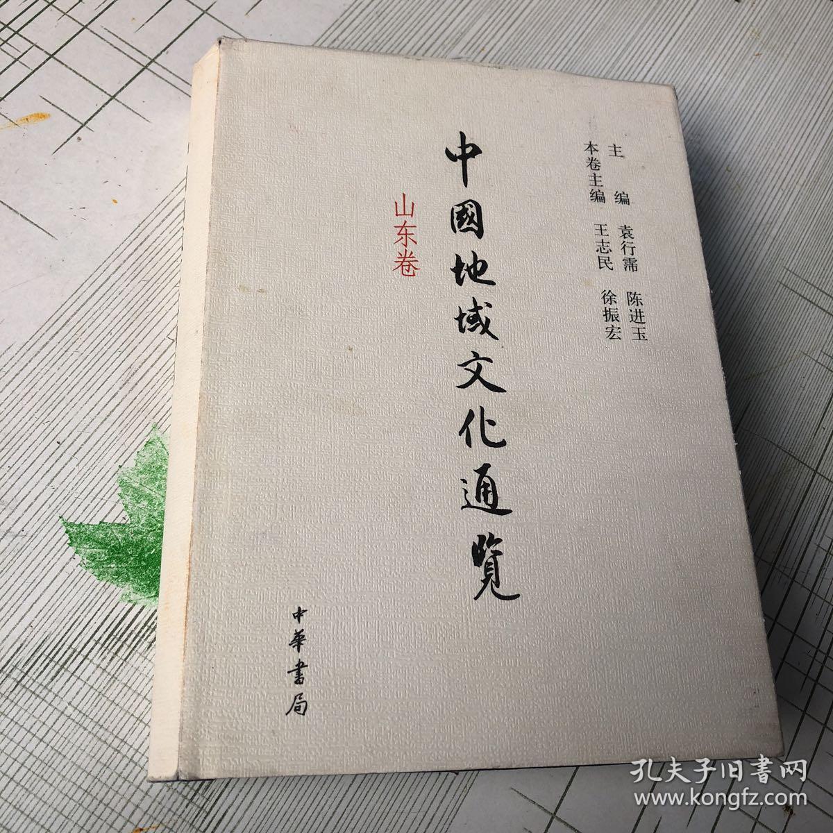 中国地域文化通览 山东卷(精装)