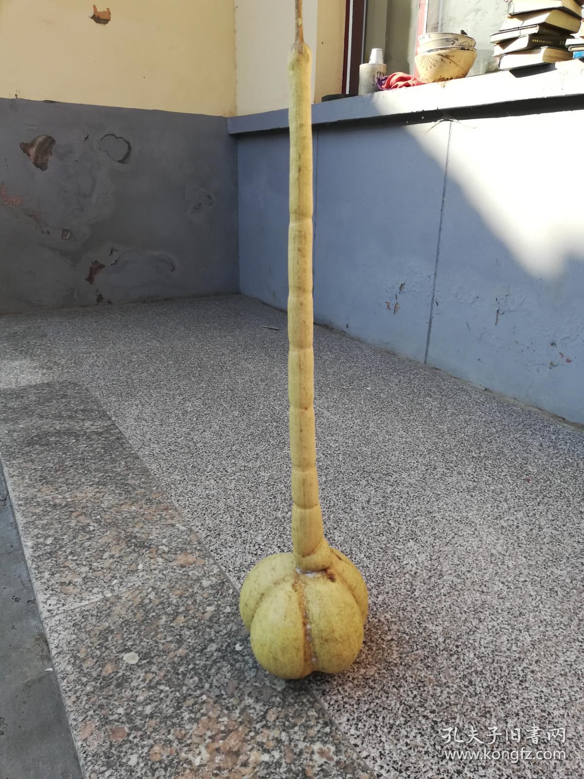 文玩葫芦捆扎勒扎葫芦长约80厘米